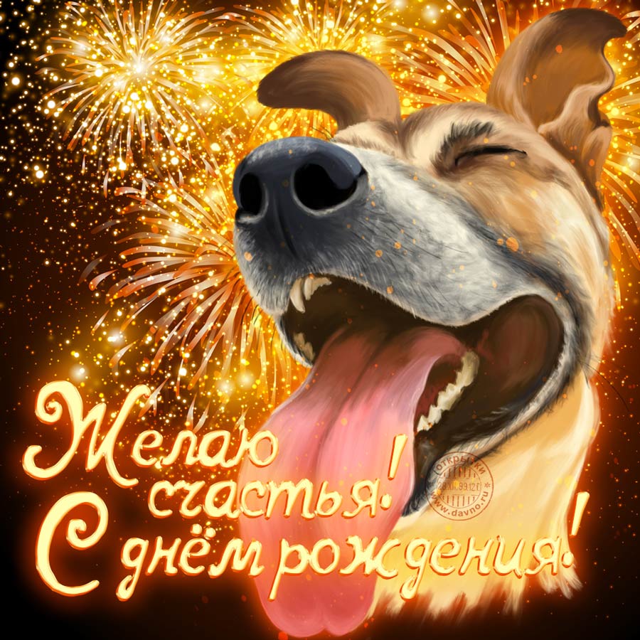 Живые открытки с Днём рождения с собаками 2024